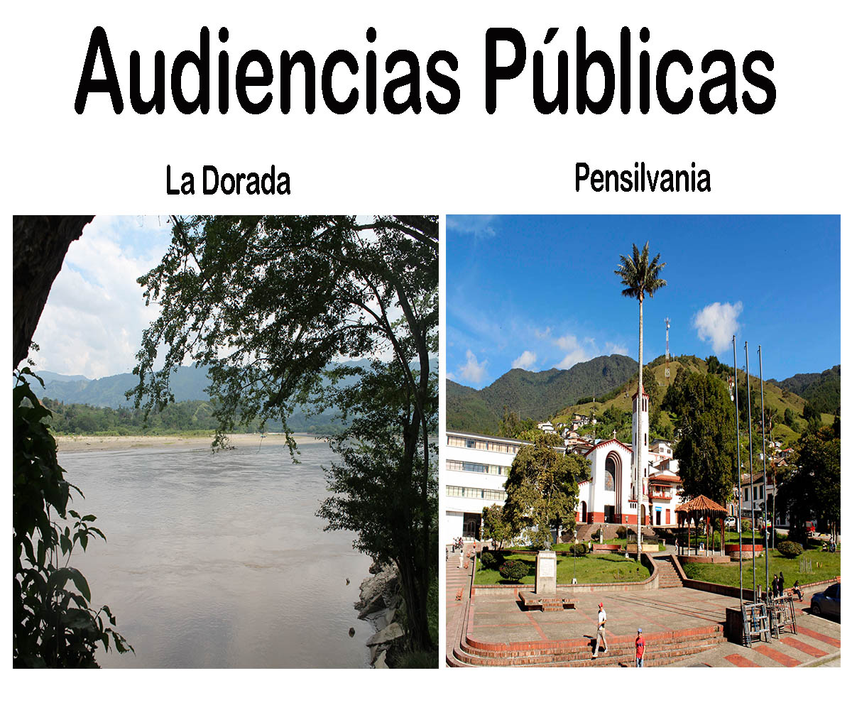 Lee más sobre el artículo Audiencias Públicas en La Dorada y Palestina